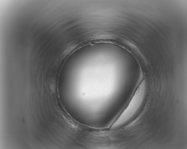 X0000067490833200604150039