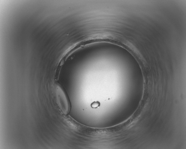 X0000067490834200604150040