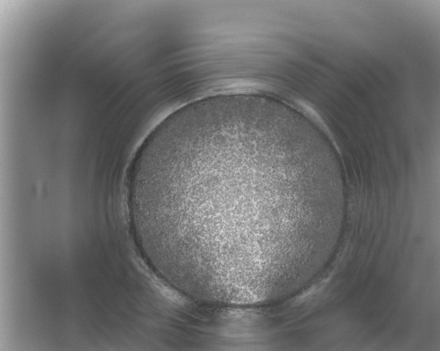 X0000067490835200604150040