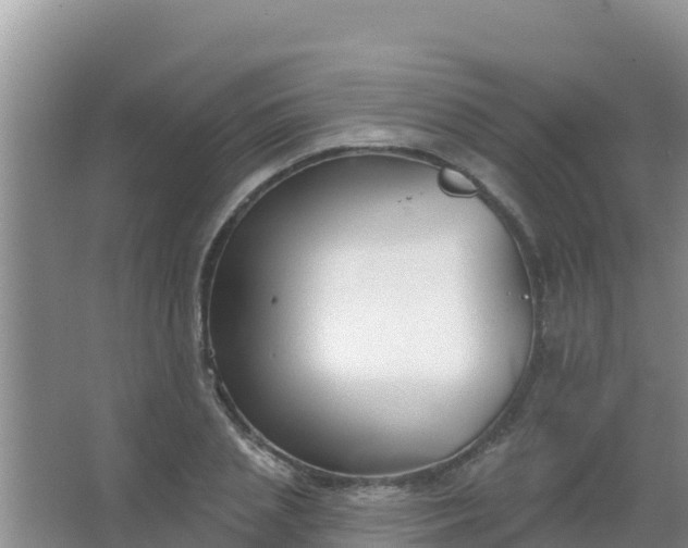 X0000067490837200604150040