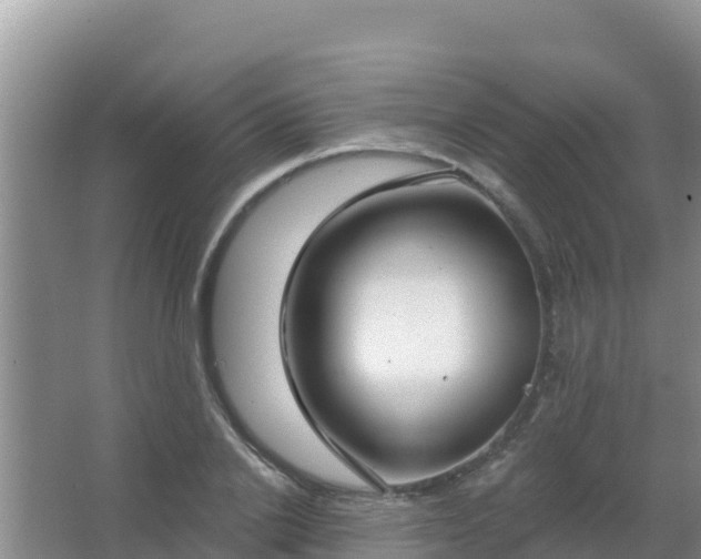 X0000067490838200604150040