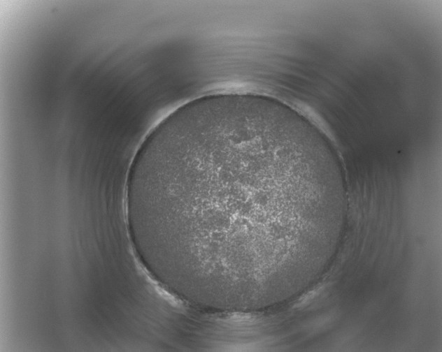 X0000067490839200604150040