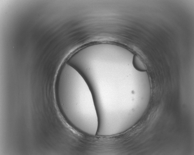 X0000067490840200604150040