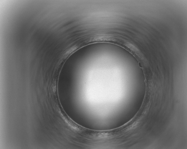 X0000067490841200604150040