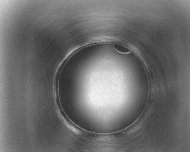 X0000067490843200604150040