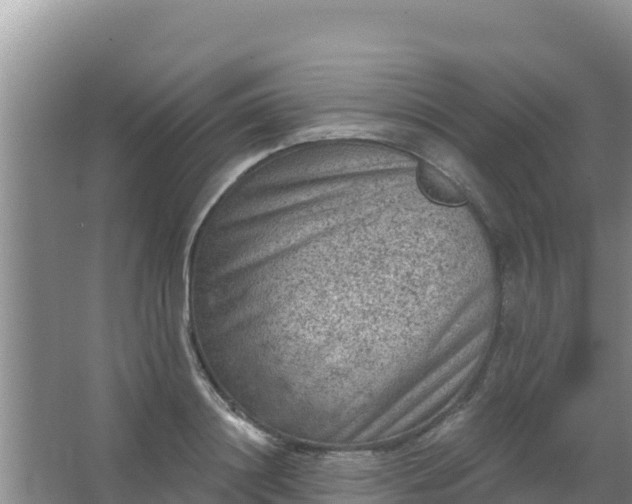 X0000067490844200604150040