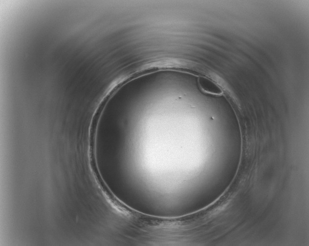 X0000067490845200604150040