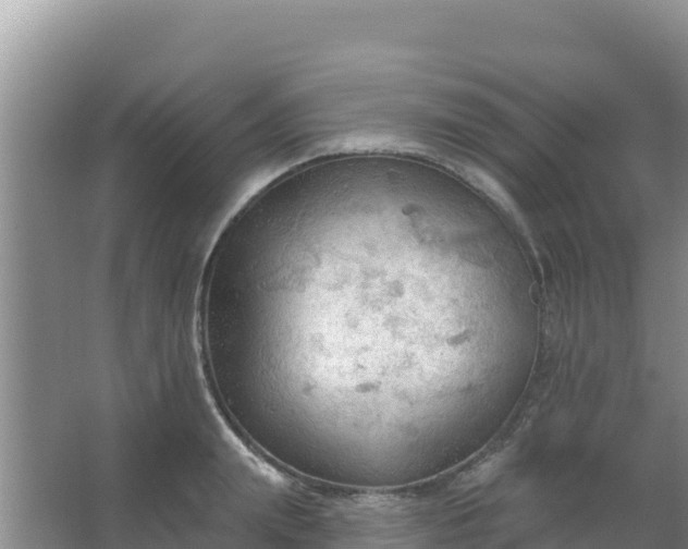 X0000067490847200604150040