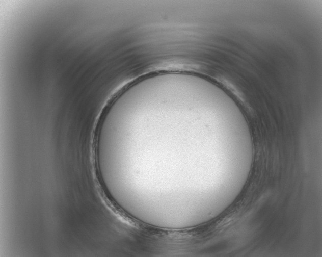 X0000067490848200604150040