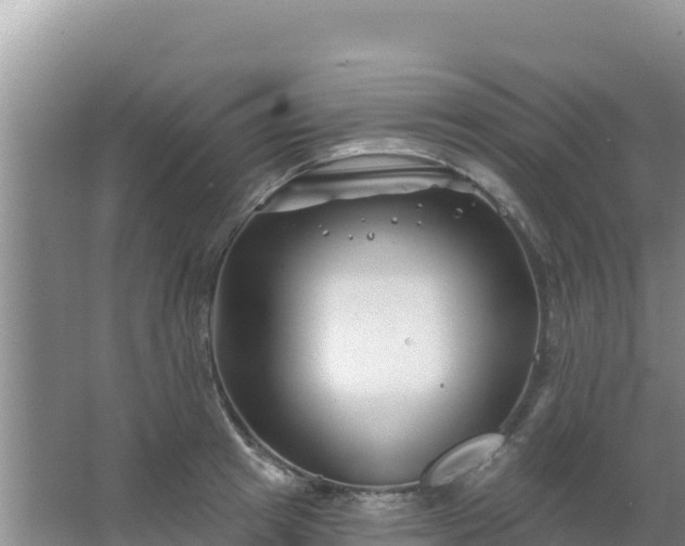 X0000067490849200604150040