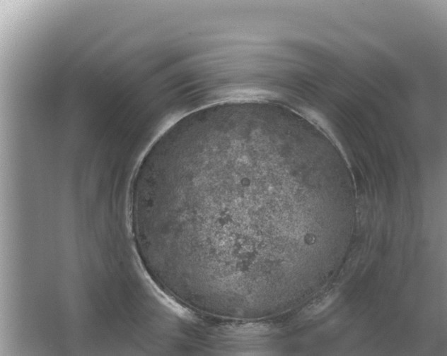 X0000067490851200604150040