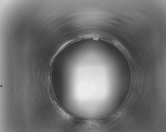 X0000067490852200604150040