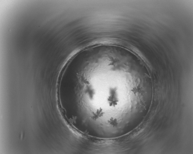 X0000067490853200604150040