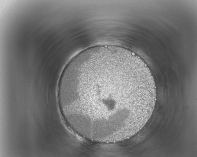 X0000067490856200604150040