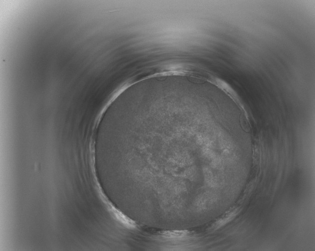 X0000067490859200604150040