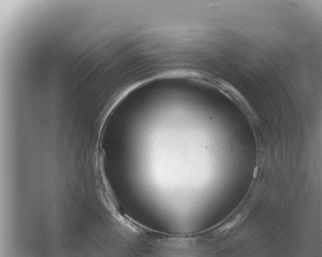 X0000067490860200604150040