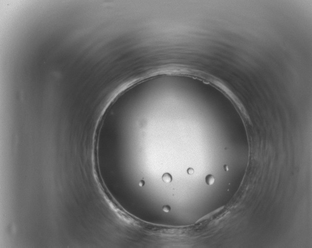 X0000067490861200604150040