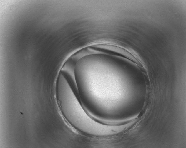 X0000067490862200604150040