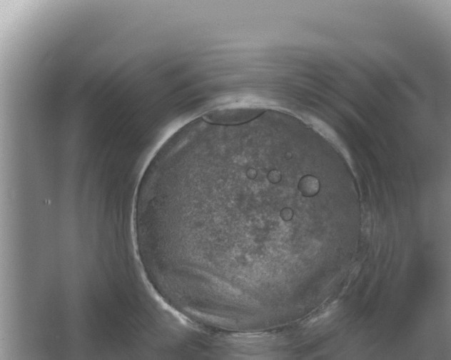 X0000067490863200604150040