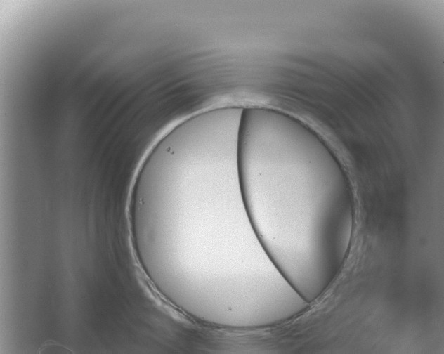 X0000067490864200604150040