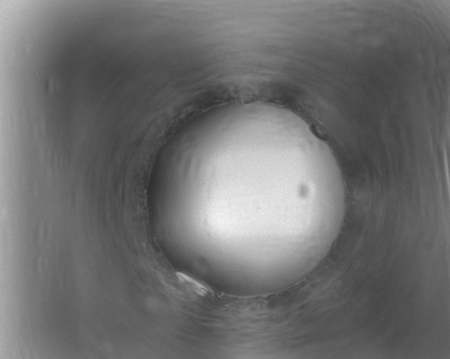 X0000067490865200604150039