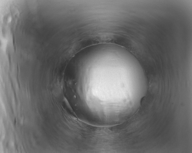 X0000067490866200604150039