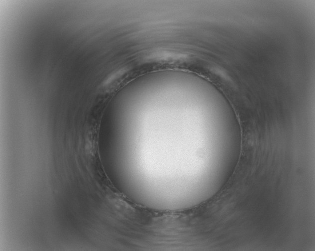 X0000067490869200604150039