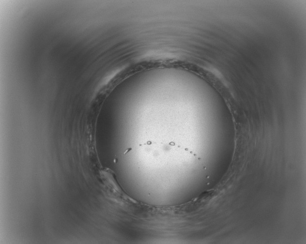 X0000067490871200604150039