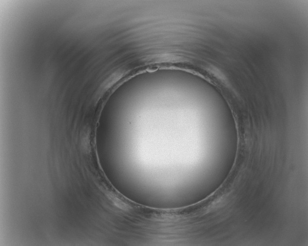 X0000067490873200604150039