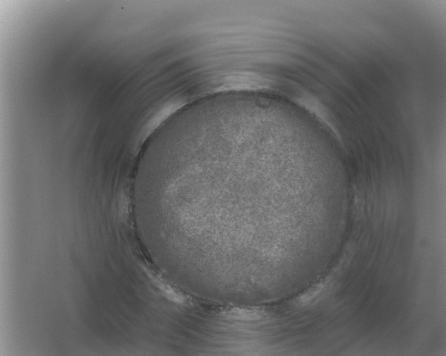 X0000067490874200604150039