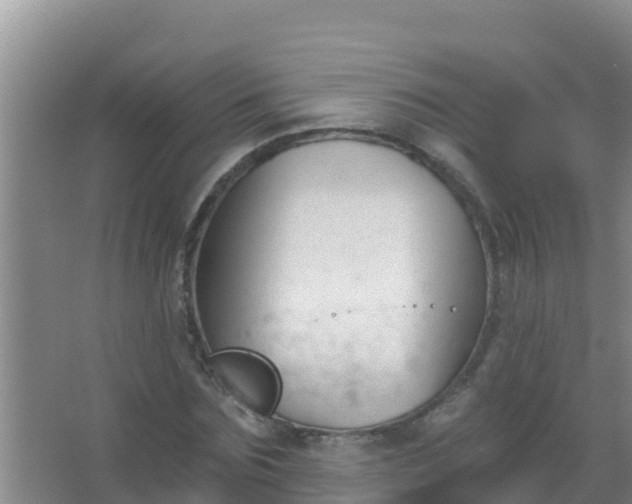 X0000067490875200604150039