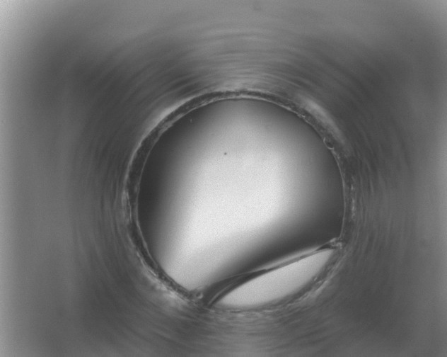 X0000067490876200604150039