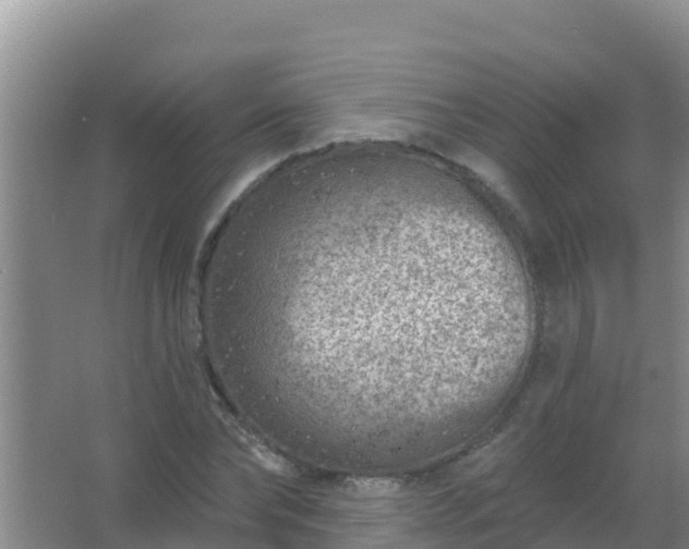 X0000067490878200604150039