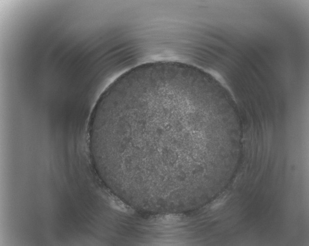 X0000067490879200604150039