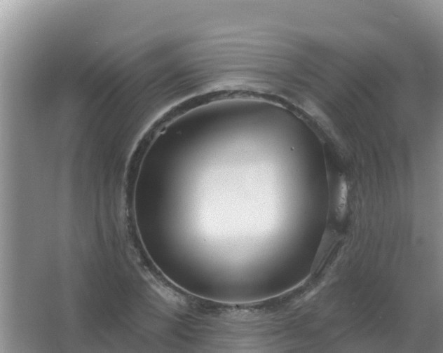 X0000067490880200604150039