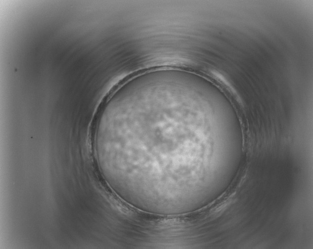 X0000067490883200604150039