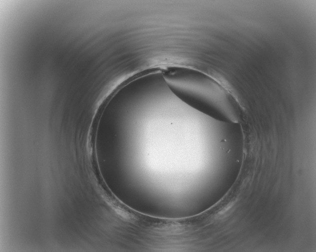 X0000067490885200604150039