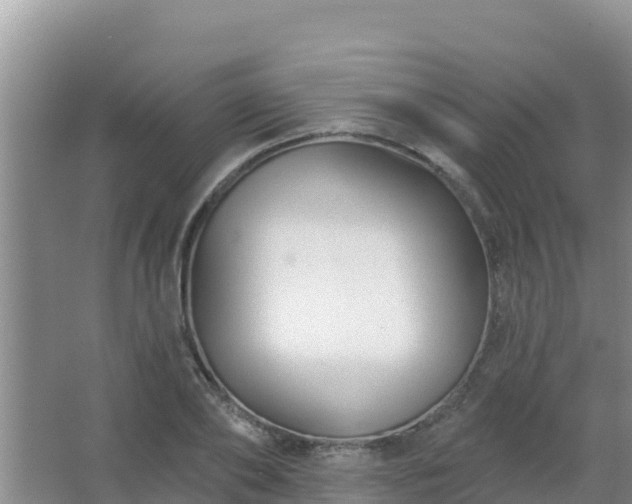 X0000067490886200604150039