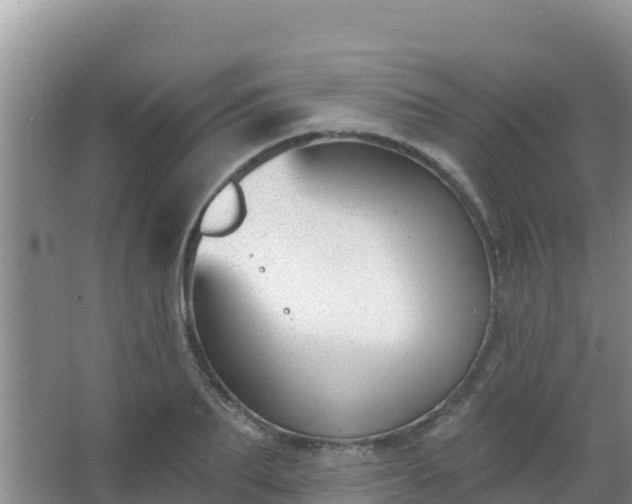 X0000067490887200604150039