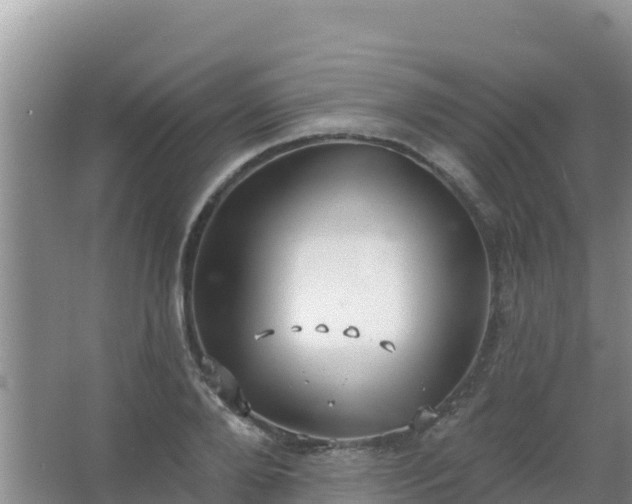 X0000067490888200604150039