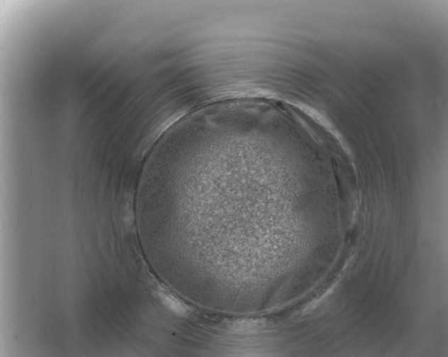 X0000067490889200604150039