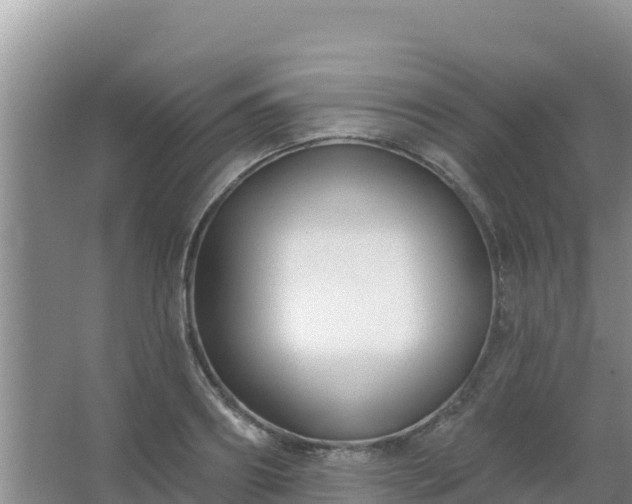 X0000067490890200604150039