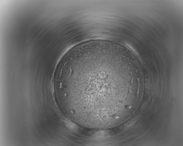 X0000067490891200604150039