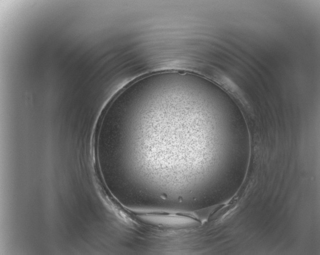 X0000067490892200604150039