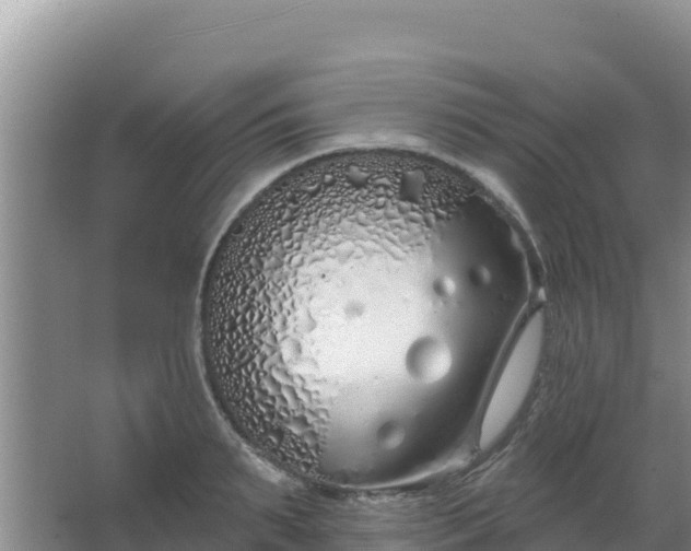 X0000067490895200604150039