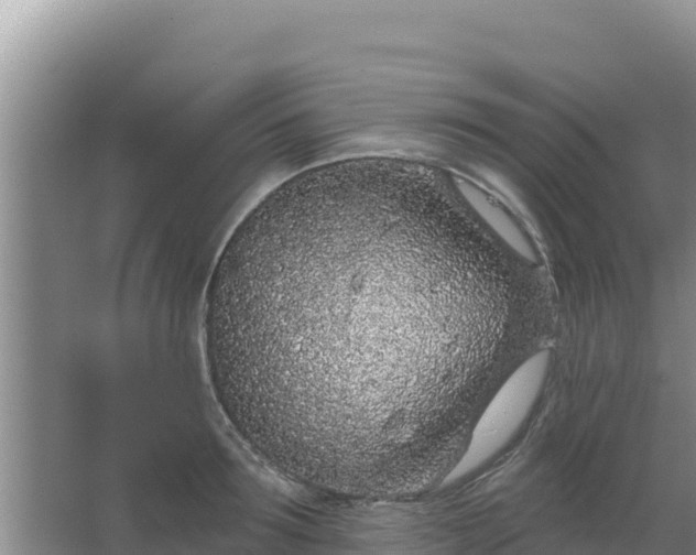 X0000067490899200604150039