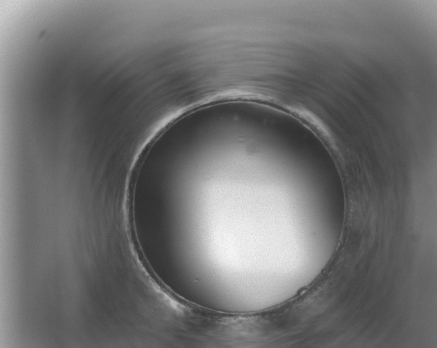 X0000067490902200604150039