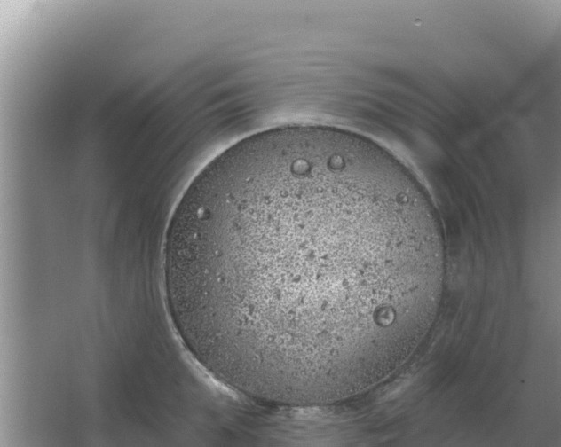 X0000067490903200604150039