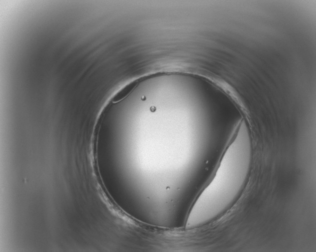 X0000067490904200604150039