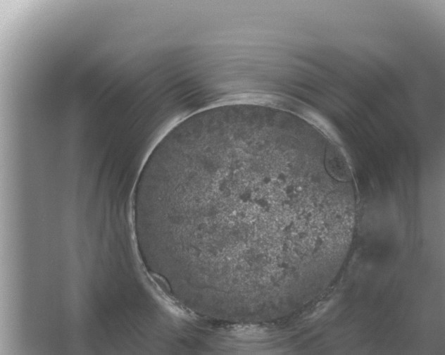 X0000067490907200604150039